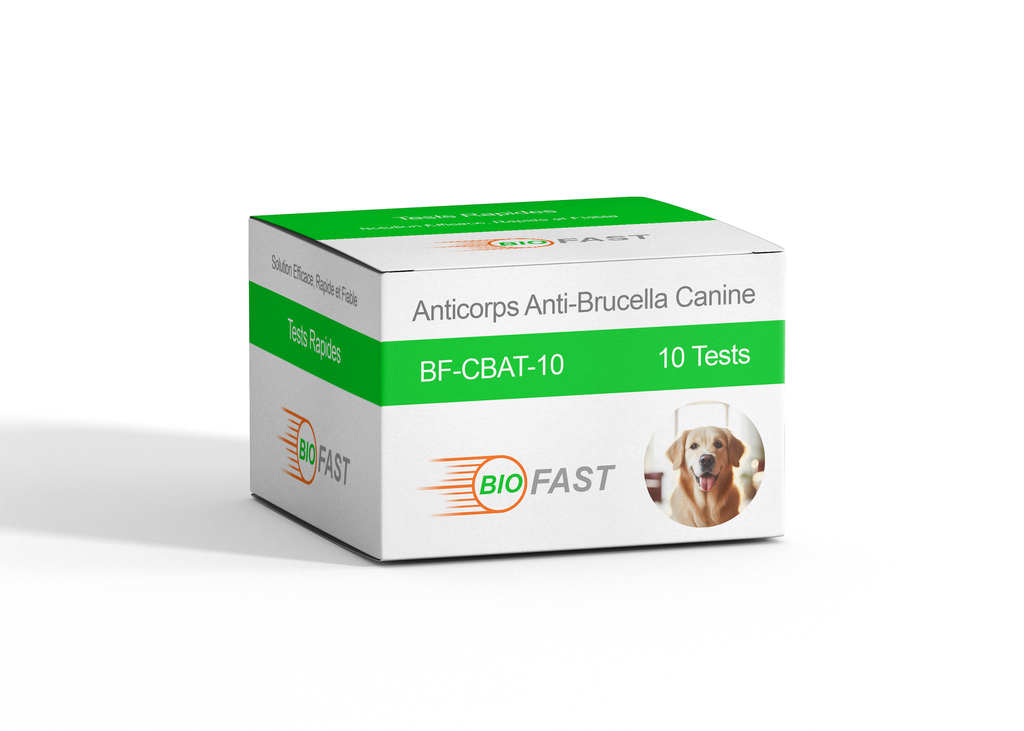 Test rapide pour la détection des anticorps brucella canin